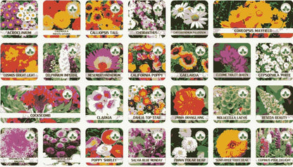 Premium Flower seeds