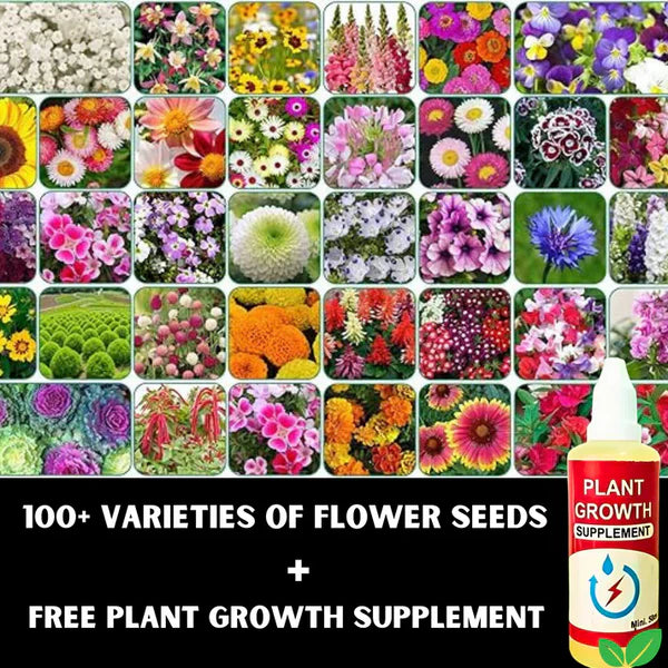 Premium Flower seeds